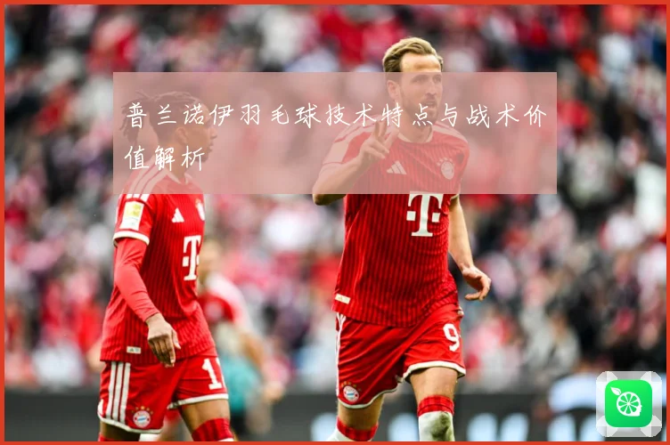 普兰诺伊羽毛球技术特点与战术价值解析