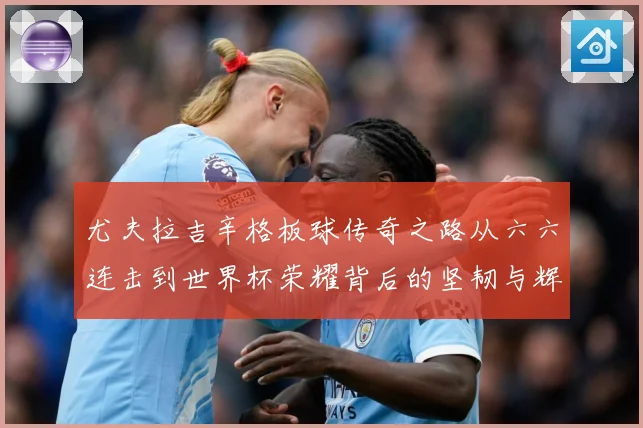 尤夫拉吉辛格板球传奇之路从六六连击到世界杯荣耀背后的坚韧与辉煌人生