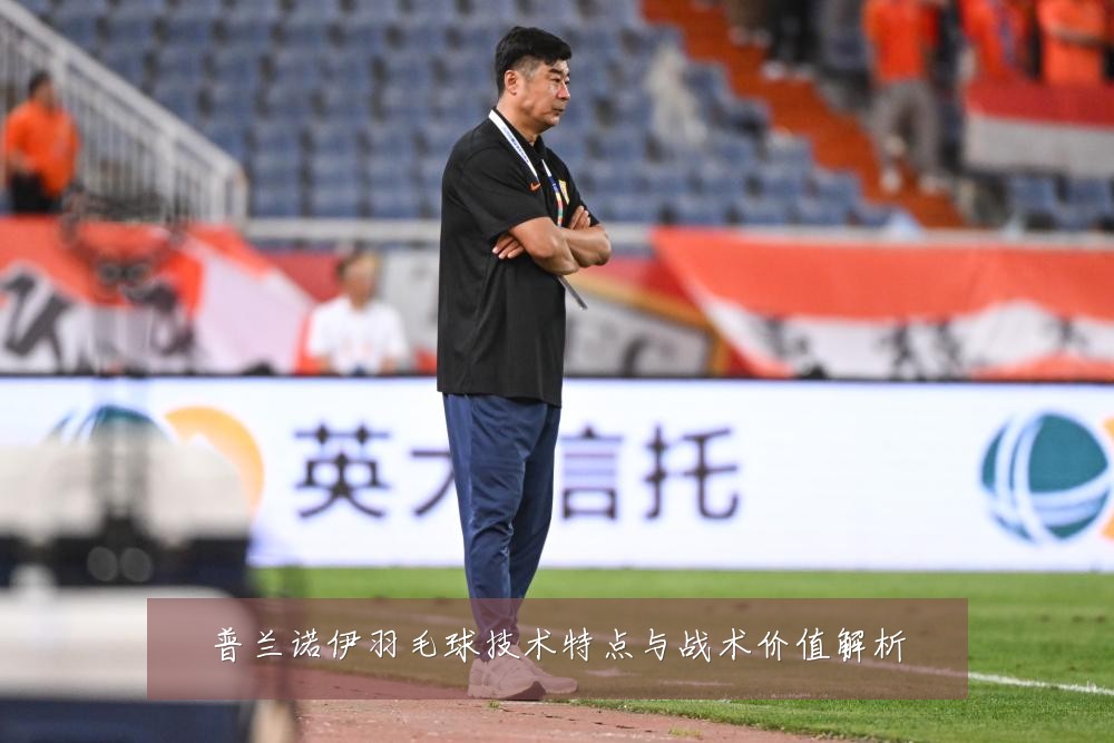 普兰诺伊羽毛球技术特点与战术价值解析